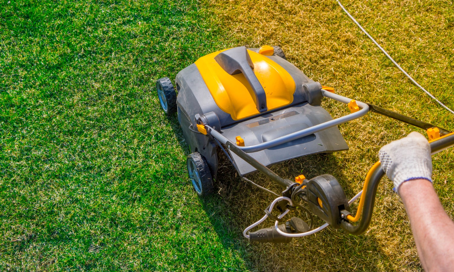 Cómo elegir la mejor máquina de jardín para tus necesidades